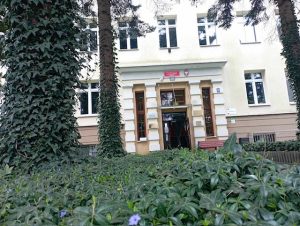 Zdjęcie zrobione z bardzo niskiej perspektywy, ujęcie przez gęsty, zielony dywan bluszczu porastający ziemię. W tle rosną wysokie, proste pnie drzew iglastych – pokryte również pnączami (bluszcz lub winobluszcz). Pomiędzy pniami widać centralne wejście do szkoły – drzwi w głębokiej wnęce, nad którymi znajduje się czerwony szyld z nazwą szkoły i godłem Polski. Po prawej stronie przy wejściu zamocowano tabliczki informacyjne, a na chodniku stoi ławka.