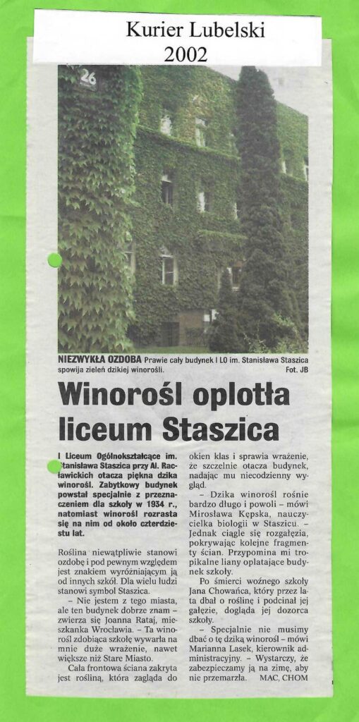 Artykuł z gazety „Kurier Lubelski” z 2002 roku opisuje budynek I Liceum Ogólnokształcącego im. Stanisława Staszica w Lublinie, który niemal w całości porasta dzika winorośl. Roślina oplata elewację szkoły, zagląda do okien klas i sprawia wrażenie, jakby szczelnie otaczała cały budynek, nadając mu wyjątkowy, niecodzienny wygląd.Zabytkowy gmach został wybudowany w 1934 roku z przeznaczeniem na szkołę, natomiast winorośl rozrasta się na nim od około czterdziestu lat. Dla wielu mieszkańców jest ona symbolem liceum i jego znakiem rozpoznawczym, wyróżniającym je na tle innych szkół. Roślina rośnie wolno, ale bardzo długo, stale się rozgałęzia i pokrywa kolejne fragmenty ścian, przypominając pnącą się lianę.W artykule wypowiadają się osoby związane ze szkołą oraz mieszkańcy, którzy podkreślają wyjątkowość widoku. Wspomniano również o dawnym woźnym, który przez lata dbał o winorośl, a obecnie opiekę nad nią sprawuje dozór szkoły. Administracja podkreśla, że roślina nie wymaga skomplikowanej pielęgnacji – wystarczy zabezpieczyć ją na zimę, aby nie przemarzła.